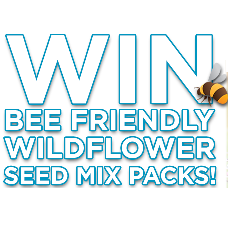 Freebies uk seeds