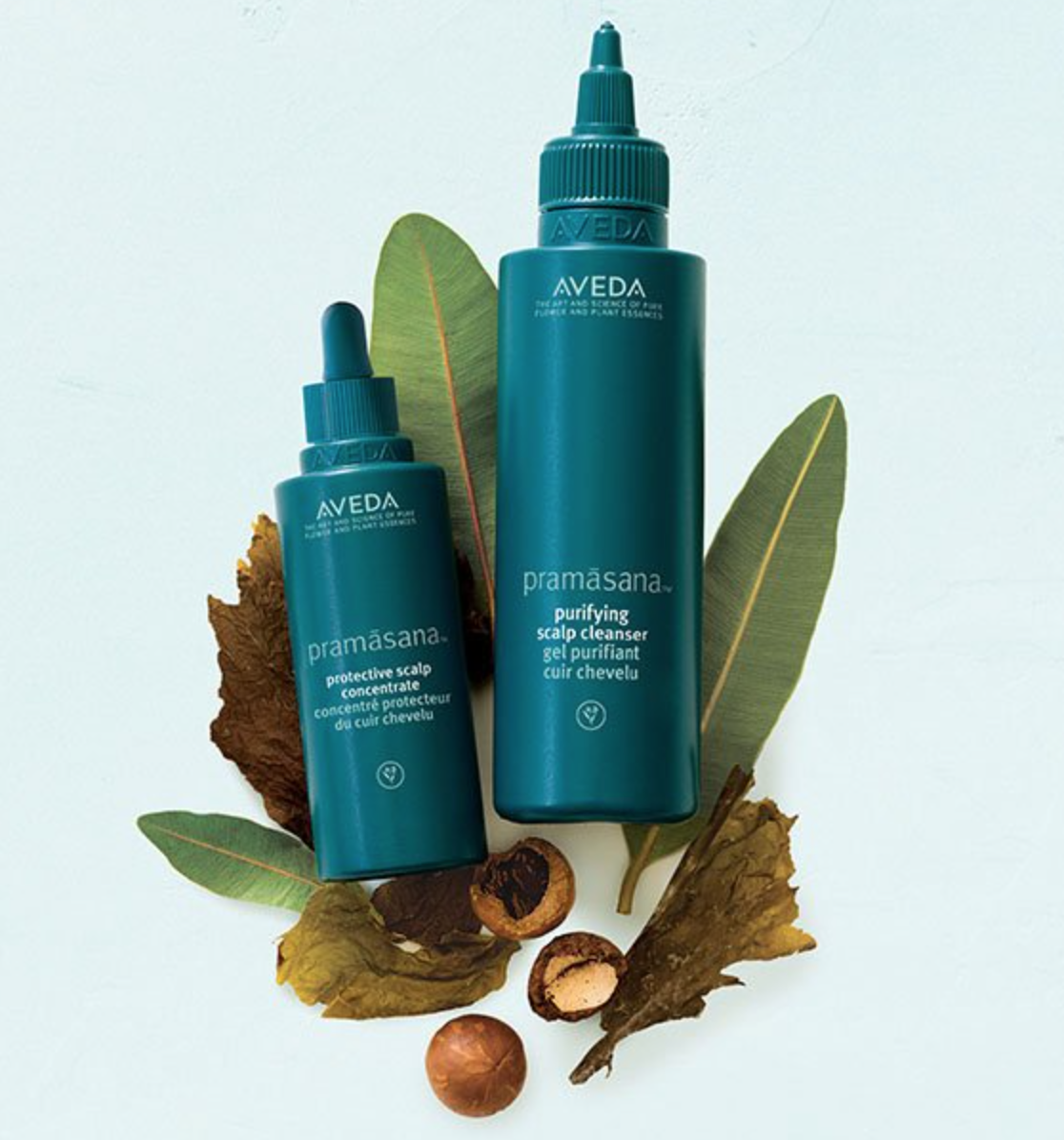 à¸à¸¥à¸à¸²à¸£à¸à¹à¸à¸«à¸²à¸£à¸¹à¸à¸�à¸²à¸à¸ªà¸³à¸«à¸£à¸±à¸ Aveda PramÄsana Protective Scalp Concentrate