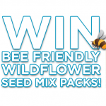 FREE Wildflower Seed Mix Packs (Win 1 Of 950) - Gratisfaction UK