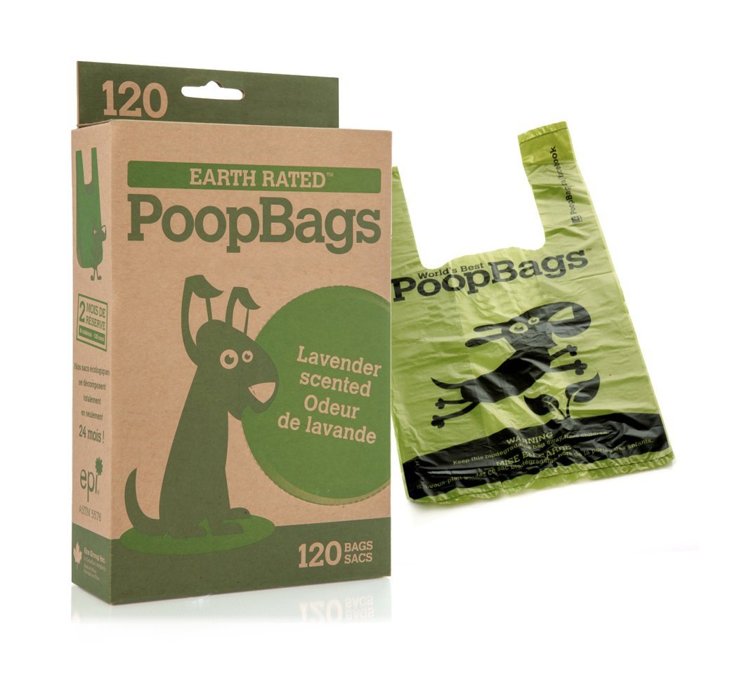 www.gratis poo Www.gratis Poo