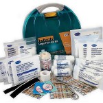 Halfords Large First Aid Kit HALF PRICE £10 - Gratisfaction UK