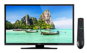 TODAY ONLY! Get this 32 Inch Digihome LED Freeview HD TV delivered to your door for UNDER £140 from Ebuyer