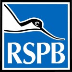 Take part in the RSPB Big Wild Sleepout and get a free Mug, book, puzzles and more! - Gratisfaction UK