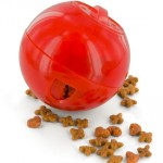 FREE Dog Poo Bag Lead Holder Or Cat Feeding Toy - Gratisfaction UK