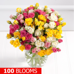 BARGAIN 100 Spray Rose £24.99 delivered using code AWSVE5 at Debenhams - Gratisfaction UK