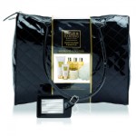 BARGAIN Baylis & Harding Weekend Essentials Bag was £39.99 NOW £14.99 at Lloyds Pharmacy - Gratisfaction UK