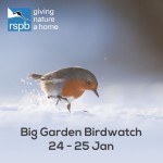 FREE Big Garden Birdwatch 2015 Pack - Gratisfaction UK