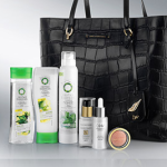 FREE Diane Von Furstenberg Tote - Gratisfaction UK