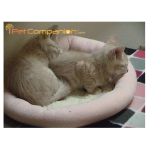 FREE Play With Animals Online With iPetcompanion - Gratisfaction UK