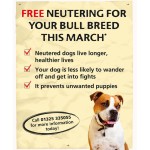 FREE Dog Neutering For Your Bull Breed - Gratisfaction UK