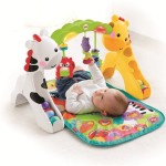 FREE Fisher Price Newborn To Toddler Gyms - Gratisfaction UK