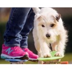 FREE London Pet Show Tickets - Gratisfaction UK