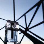 FREE Dior Homme Eau for Men - Gratisfaction UK