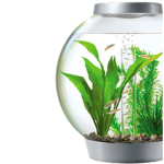 FREE Aquarium Water Test - Gratisfaction UK