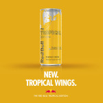 FREE Red Bull Tropical Edition - Gratisfaction UK