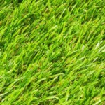 FREE Artificial Grass Samples - Gratisfaction UK