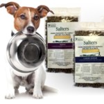 FREE Salters Dog Food Samples - Gratisfaction UK