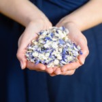 FREE Wedding Petal Sample - Gratisfaction UK