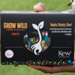 FREE Grow Wild UK Wildflower Seeds - Gratisfaction UK