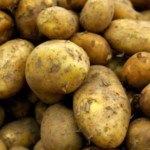 FREE Potato Growing Kit - Gratisfaction UK