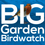 FREE RSPB Big Garden Birdwatch Pack - Gratisfaction UK