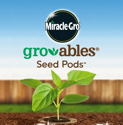 FREE Miracle Gro Products | Gratisfaction UK