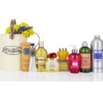 FREE Loccitane Provençal Harvest Collection - Gratisfaction UK