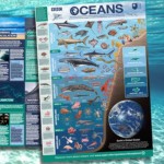 FREE Blue Planet 2 Poster - Gratisfaction UK