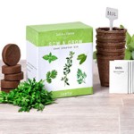 FREE Seed Starter Packs - Gratisfaction UK
