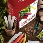 FREE Dorset Tea Growing Kits - Gratisfaction UK