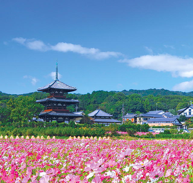 FREE Win Flights To Japan Gratisfaction UK