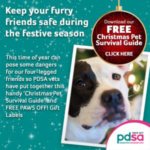 FREE PDSA Christmas Pet Survival Guide - Gratisfaction UK