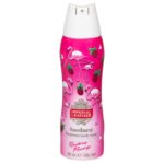 FREE Imperial Leather Foamburst - Gratisfaction UK