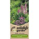 FREE Windflower Wildflower Seeds - Gratisfaction UK