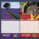 FREE Wildlife 2020 Calendar - Gratisfaction UK