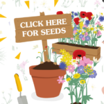 FREE Feed The Bees Seeds - Gratisfaction UK