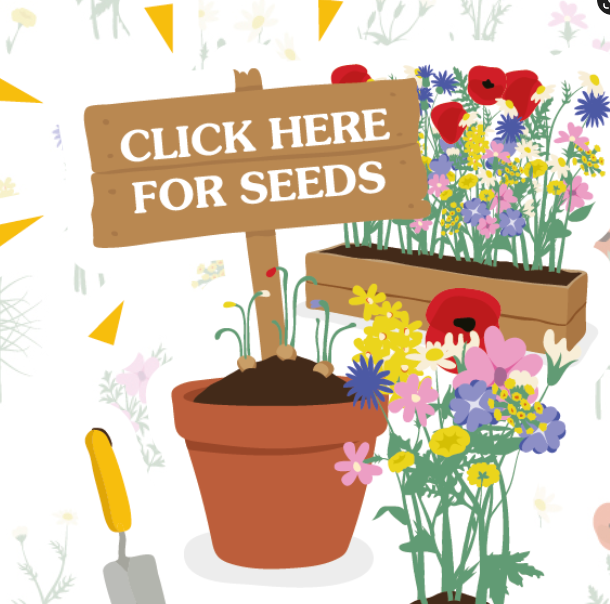 FREE Feed The Bees Seeds Gratisfaction UK FREE Feed The Bees Seeds Gratisfaction UK