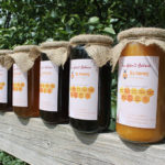 FREE Pure Honey - Gratisfaction UK