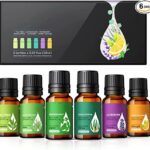 BARGAIN! £3.99 Diffuser Set - Gratisfaction UK