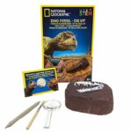 BARGAIN! £5 Dinosaur Set - Gratisfaction UK