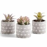 BARGAIN! £4.79 Plant Decor - Gratisfaction UK