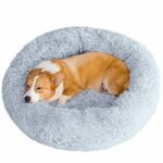 BARGAIN! £5 Pet Bed - Gratisfaction UK