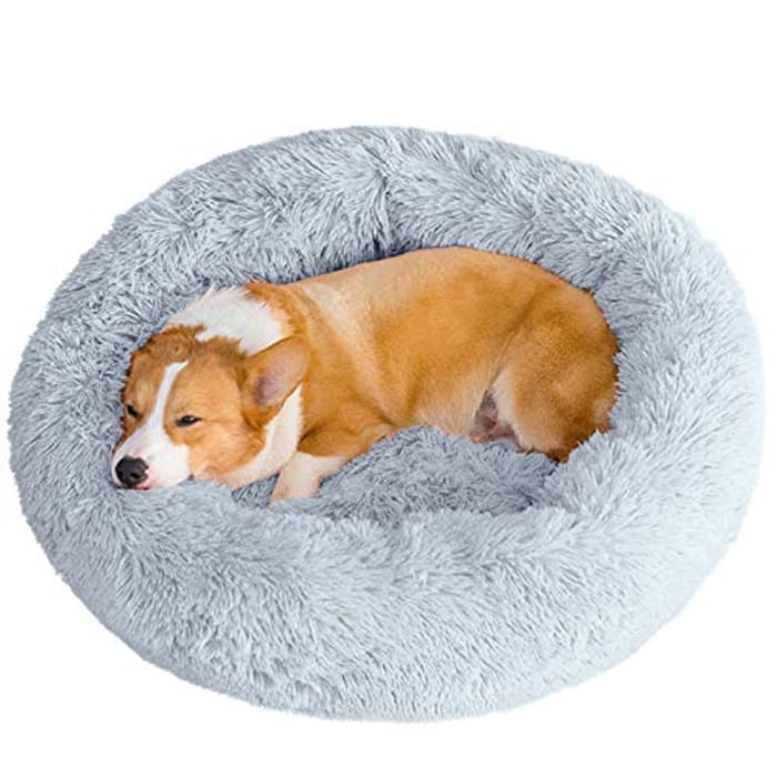 BARGAIN! £5 Pet Bed Gratisfaction UK